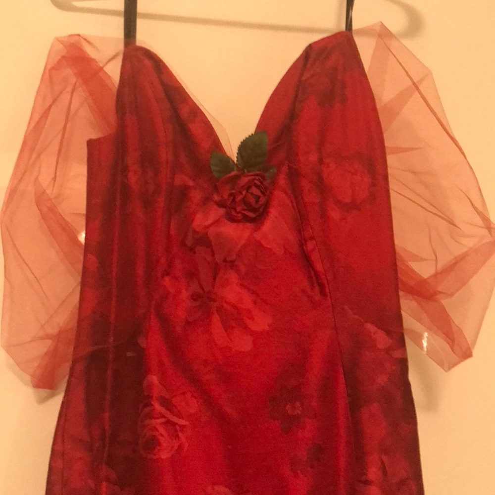 Dana Deatherage - Picture 3 of 13